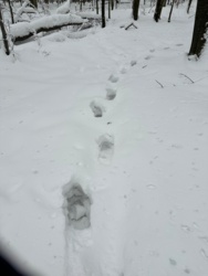 c15f6007-7a6e-4bf3-9444-29b73f186aa0