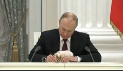 58b5c320-2fa0-4896-8393-74ba0db4b3fa