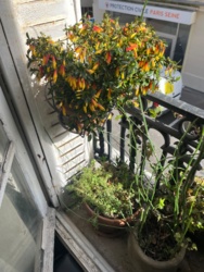 7ec35615-8564-4d99-99aa-acc2d0146edf