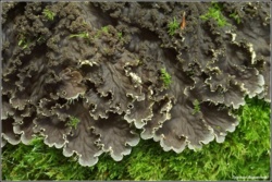 861327ef-8e56-4bfe-869c-cff68c4d8162