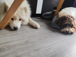 e9f09b68-d350-48d0-b6a9-acebae5c14ce