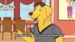 fef79bd9-0f1b-4442-bdde-c1a9e3a1df85