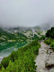 bf5505d6-e054-45ec-8686-8f0d36a3cea8