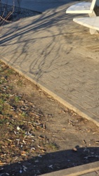 41d5b18e-d414-4ebb-bb70-de8ecd0f1c53