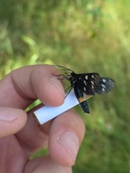 ad1ad1ac-5b1e-4ecf-b73b-0815a9ee3236