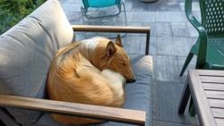 1a4f373d-5e0f-48f2-8cd7-158cdef9856d