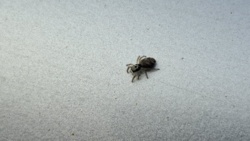 81f62c28-be05-44f0-92da-3073772cd955