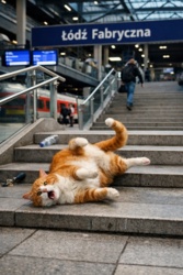 ea453af8-6597-4859-906a-4fb59b90ff24