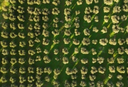 09bd50c3-a739-4c12-b22b-ad29418cfcf9