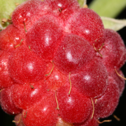 344a5327-a71e-4d3d-8174-a0dfec162f50