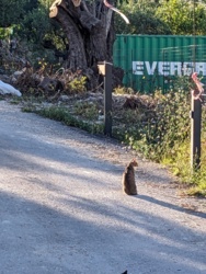 66b71d4e-3320-4b6c-8d99-1275486cb737