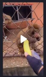 40960711-1a6c-4e15-b4a9-fe7faed6b602