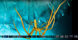 6a537c76-99f1-45fc-a35f-e4624150854c