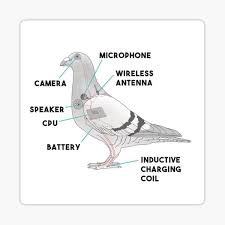 d332d8b6-e870-46cc-bcdf-4288f14a3df0