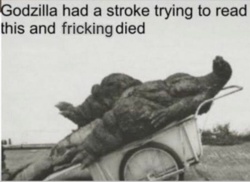 cc544784-fc0d-4c88-b788-07471b0e1e79