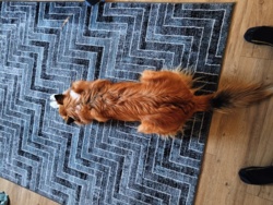 5091fde4-651f-4c4c-a42d-8cb121c688be