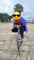 b8ca82a6-ef70-43d4-b9d6-058dbbbfdffc