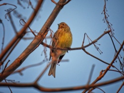 316a277c-1530-474c-8437-165e483572e1