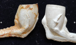 cfc7ba05-5004-4f37-9525-e2fd44ef7f01