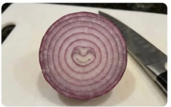 0a420aa7-a359-4b69-a2a1-bd1a43979608