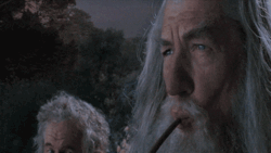 50fd244c-3eb9-4e3a-8baa-7fc6fa425534