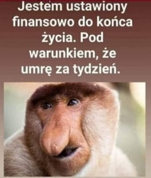 b59bae08-c36d-4543-9b21-60f1afc167fc