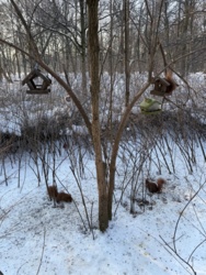 028e506f-3509-4ba8-a741-00a46e56402e