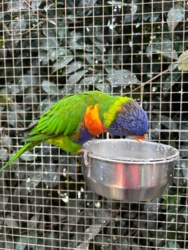 e2af08b0-8689-4241-927f-7c9eb8103ffe