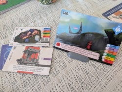 0f8b02d9-57cf-451b-acf2-a91d3bf7b19d