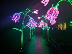 d0528a33-dd61-4740-aebc-00503822ee67