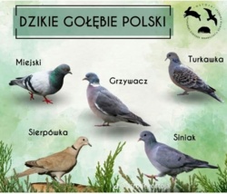 846c6320-c052-4155-b48b-149c0459b78c