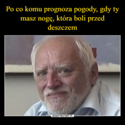 1bb8c817-cd05-450f-876d-6687c63e8f8b