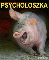 61d8bcde-d09b-4565-ae06-483cff520ace