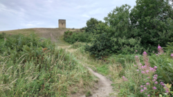 80758869-df31-450f-b4cd-773d7d97c9c3