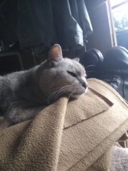 b1624fdf-b170-4296-8ec4-c387c94e796b