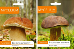 7617019e-e671-4d24-a31d-f1983140d253