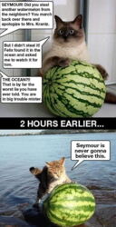 537aa4df-c030-469c-9c0a-97c91dfd9f63