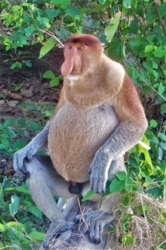 ae807ad6-a702-410c-b74e-544f2fe55176