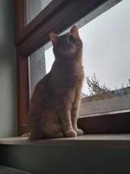 f420ef06-e4d3-463c-abad-004122d93c86