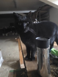 4673f0ff-c408-45a7-ac77-700835c5fe9c