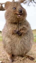 970694b3-ec8d-4168-bbde-8e6dcccc2cb8