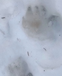 52e9093b-54fc-4707-8c91-f532f63a0ffb