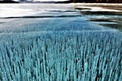 dd67c25b-20d0-4b09-b11f-40f0fb5f5ec9