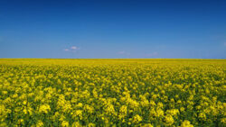 63bdb939-c804-4e45-85b5-d574d838390e