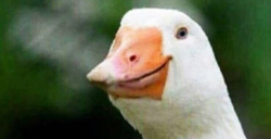 47eb3ac0-316d-45d4-a9f6-72ab166850f6