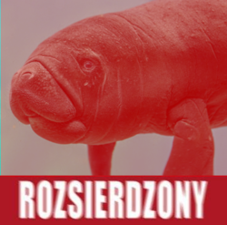 d9aaabc9-64e4-4dd8-84b8-bd604da7aa2b