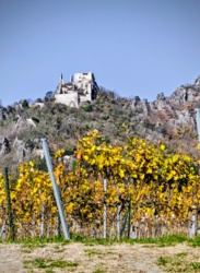 ba940de9-c30f-4849-9aa6-25acf6a9735e