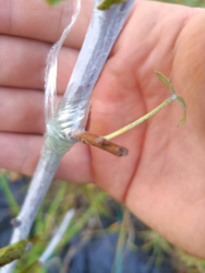 0912074c-d7a2-41a2-95d5-b835c48ae2a3