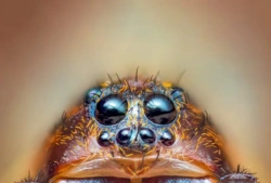 05f87fac-3c44-4140-9c22-0a3e9f222c8f