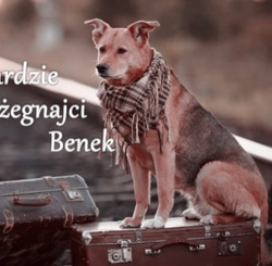 70ff80b9-f443-4e73-9d25-e14a05f9e12b